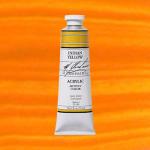 M. Graham & Co. Acrylic Paint - (2oz/60ml) Indian Yellow