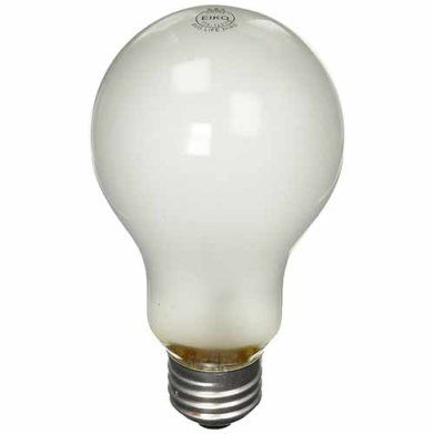 Speedball Photo Flood Bulb (250 Watt)