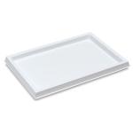 Richeson Large Paper Soaking Tray 23" x 31"
