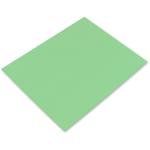 Pacon Railroad Poster Board 22" x 28" - 4 Ply Light Green