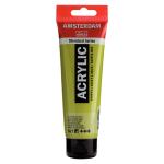 Royal Talens Amsterdam Acrylic Paint - (4.1oz/120ml) Olive Green Light