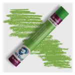 Royal Talens Van Gogh Oil Pastel - Permanent Green Medium 614.5