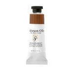 Richeson Shiva Series Oil Paint - (1.25oz/37ml) Transparent Yellow Oxide