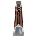 Royal Talens Rembrandt Oil Colour - (1.4oz/40ml) Raw Sienna
