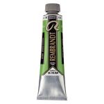 Royal Talens Rembrandt Oil Colour - (1.4oz/40ml) Permanent Green Medium