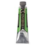 Royal Talens Rembrandt Oil Colour - (1.4oz/40ml) Permanent Green Light