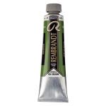 Royal Talens Rembrandt Oil Colour - (1.4oz/40ml) Sap Green