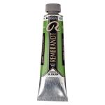 Royal Talens Rembrandt Oil Colour - (1.4oz/40ml) Cinnabar Green Medium