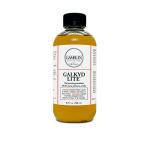 Gamblin Oil Painting Medium - (8.5oz/250ml) Galkyd Lite