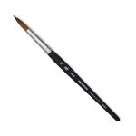 Princeton Aqua Elite Brush for Watercolors - Round #12