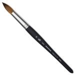 Princeton Aqua Elite Brush for Watercolors - Round #20