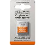 Winsor & Newton Professional Water Colour Half Pan - Burnt Sienna