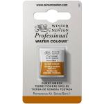 Winsor & Newton Professional Water Colour Half Pan - Burnt Umber