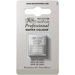 Winsor & Newton Professional Water Colour Half Pan - Davy's Gray