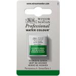 Winsor & Newton Professional Water Colour Half Pan - Hooker's Green