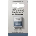 Winsor & Newton Professional Water Colour Half Pan - Payne's Gray