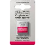 Winsor & Newton Professional Water Colour Half Pan - Permanent Carmine