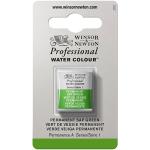 Winsor & Newton Professional Water Colour Half Pan - Permanent Sap Green