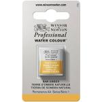 Winsor & Newton Professional Water Colour Half Pan - Raw Umber