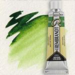 Royal Talens Rembrandt Watercolour - (0.3oz/10ml) Sap Green