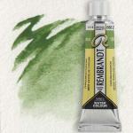 Royal Talens Rembrandt Watercolour - (0.3oz/10ml) Chromium Oxide Green