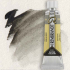 Royal Talens Rembrandt Watercolour - (0.3oz/10ml) Davy's Grey