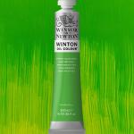 Winsor & Newton Winton Oil Colour Paint - (6.75oz/200ml) Phthalo Yellow Green