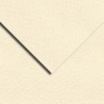 Bee Paper Pastel Paper 19" x 25" - (1 Sheet) Ivory