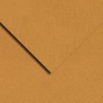 Bee Paper Pastel Paper 19" x 25" - (1 Sheet) Raw Sienna