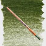 Bruynzeel Design Coloured Pencil Olive Green (Wax-based)