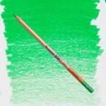 Bruynzeel Design Coloured Pencil Green (Wax-based)