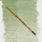 Bruynzeel Design Pastel Pencil - Dark Leaf Green