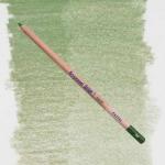 Bruynzeel Design Pastel Pencil - Sap Green