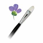#5 Regis Bristle Oil Filbert Brush