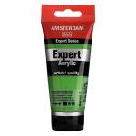 Amsterdam Expert Acrylic 75ML- Perm Green Light (618)