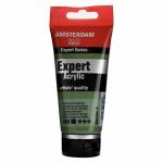Amsterdam Expert Acrylic 75ML- Chrome Ox Green (668)
