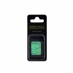 Finetec  Premium Artist Watercolor Pan refill- High Chroma Green