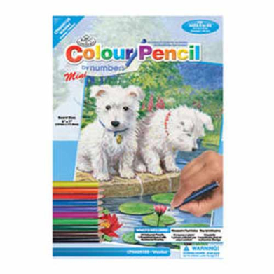 Colored Pencil By Number Mini Art Kit- Westies