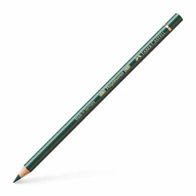 Polychromos Colored Pencil- Juniper Green (165)