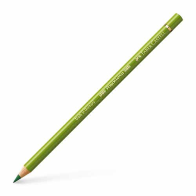 Polychromos Colored Pencil- Earth Green Yellowish (168)