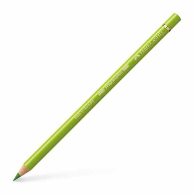 Polychromos Colored Pencil- May Green (170)