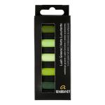 Rembrandt Soft Pastel 5 Half Stick Micro Set- Lush Greens