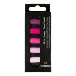 Rembrandt Soft Pastel 5 Half Stick Micro Set- Rose Violets