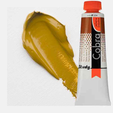 Royal Talens Cobra Study Water Mixable Oil Paint 40ml Raw Sienna 234 - RT25052340