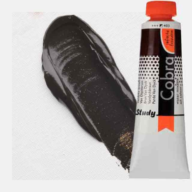 Royal Talens Cobra Study Water Mixable Oil Paint 40ml Vandyke Brown 403 - RT25054030