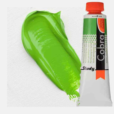 Royal Talens Cobra Study Water Mixable Oil Paint 40ml Permanent Green Light 618 - RT25056180