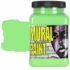 Chroma Acrylic Mural Paint - (16oz/474ml) CH2503 Mint (light green)