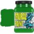 Chroma Acrylic Mural Paint - (16oz/474ml) CH2510 T-REX (brilliant green)