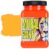 Chroma Acrylic Mural Paint - (16oz/474ml) CH2515 Toxic Orange (neon orange)