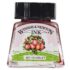 Winsor & Newton Dye-Based Drawing Ink - Scarlet WN1005601
